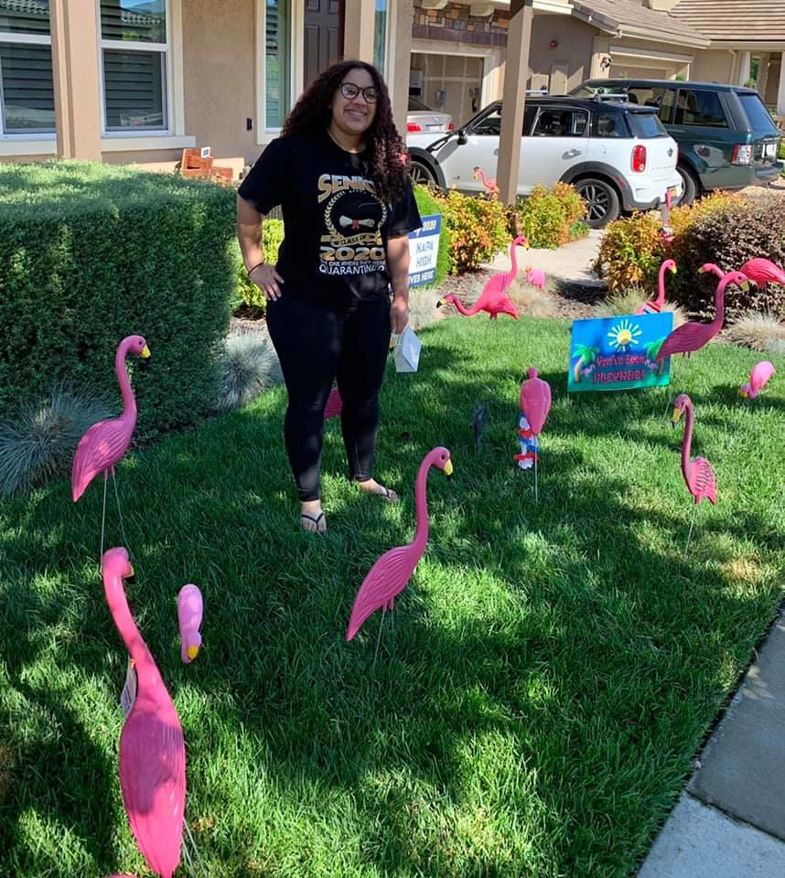 The Fancy Flamingo